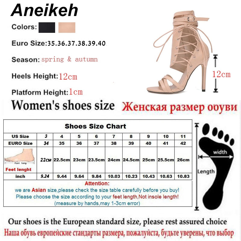 Aneikeh Roman Buckle Strap Shoes Women Sandals Sexy Gladiator Cross-Tied Lace Up Peep Toe High Heels Ankle Boots Black Aprict