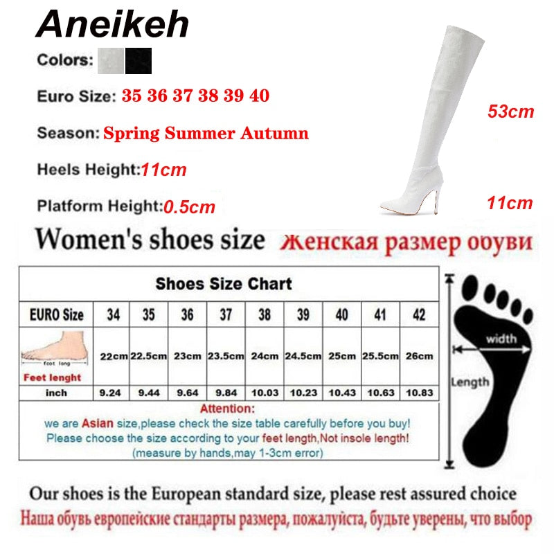 Aneikeh NEW  Fashion Striped 11CM Thin Heels Ladies  Boots 2 Sexy Over-the-Knee Side Zipper Slip-On Pointed Toe  Shoes